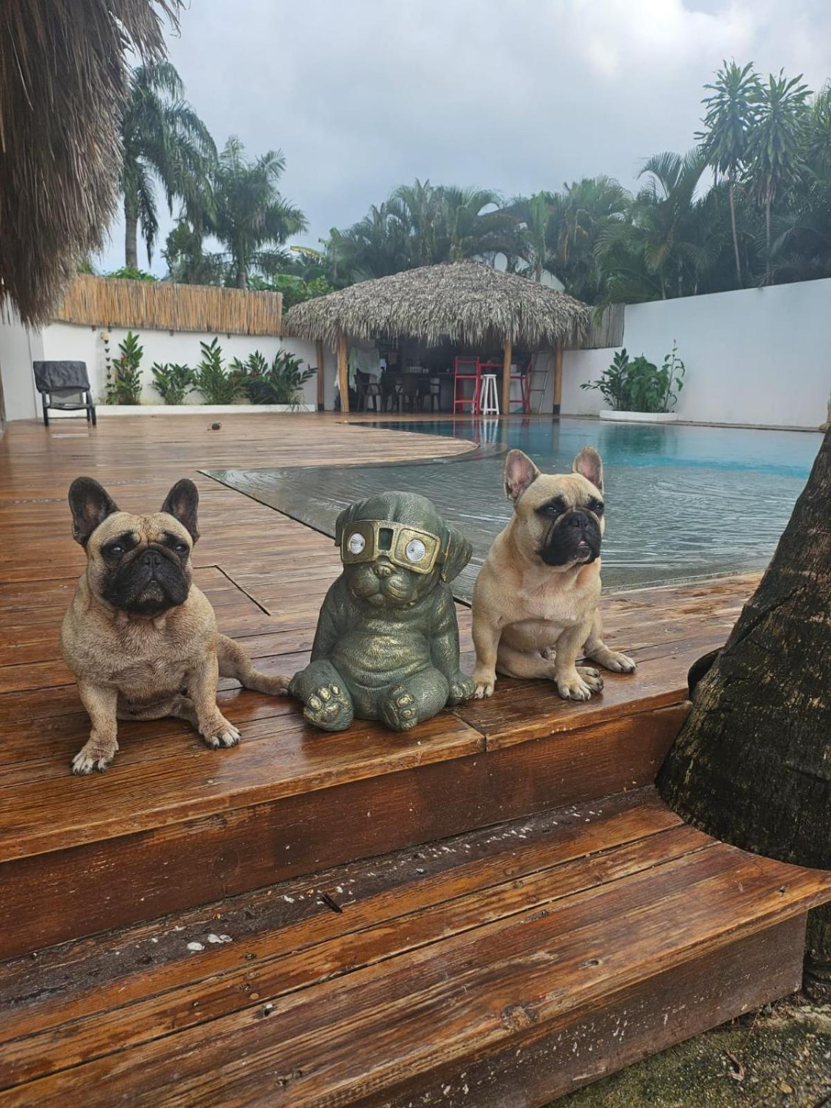 La Casita Chambre Individuelle ลาสแตร์เรนาส ภายนอก รูปภาพ